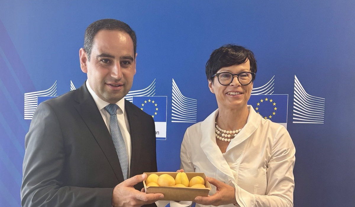 The first symbolic batch of Armenian apricots arrives in the European Union, Kos