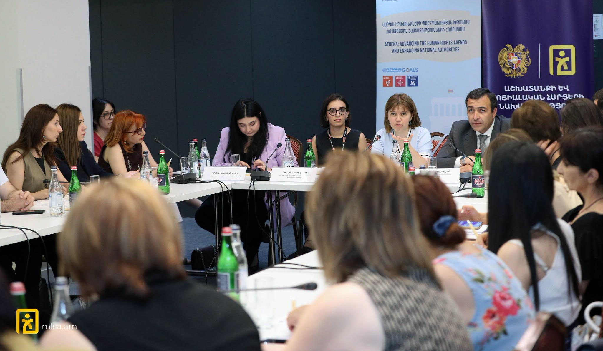 Քննարկվել են ընտանեկան և կենցաղային բռնության դեմ պայքարի շրջանակում առողջապահության ոլորտում ընթացող բարեփոխումներն ու  խնդիրները