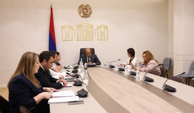 Գլխադասային հանձնաժողովում դրական եզրակացության են արժանացել «Դեղերի մասին» օրենքում առաջարկվող կարգավորումները