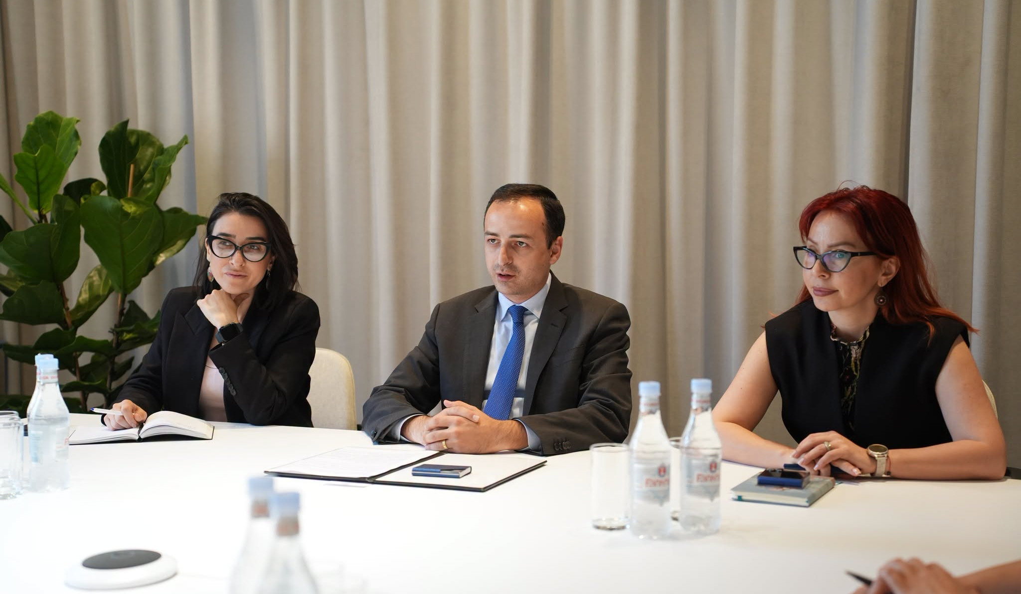 Էստոնիայի դեսպանի հետ քննարկվել են թվայնացման և մարդկային ռեսուրսների կառավարման ոլորտներում ՀՀ օրակարգին աջակցելու հնարավորությունները