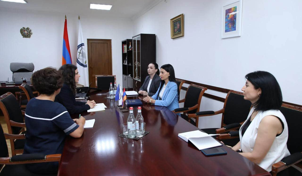 ՀՀ օմբուդսմենը ԵՄ խորհրդարանի պատգամավորին է ներկայացրել ՀՀ-ում մարդու իրավունքներին առնչվող խնդիրները