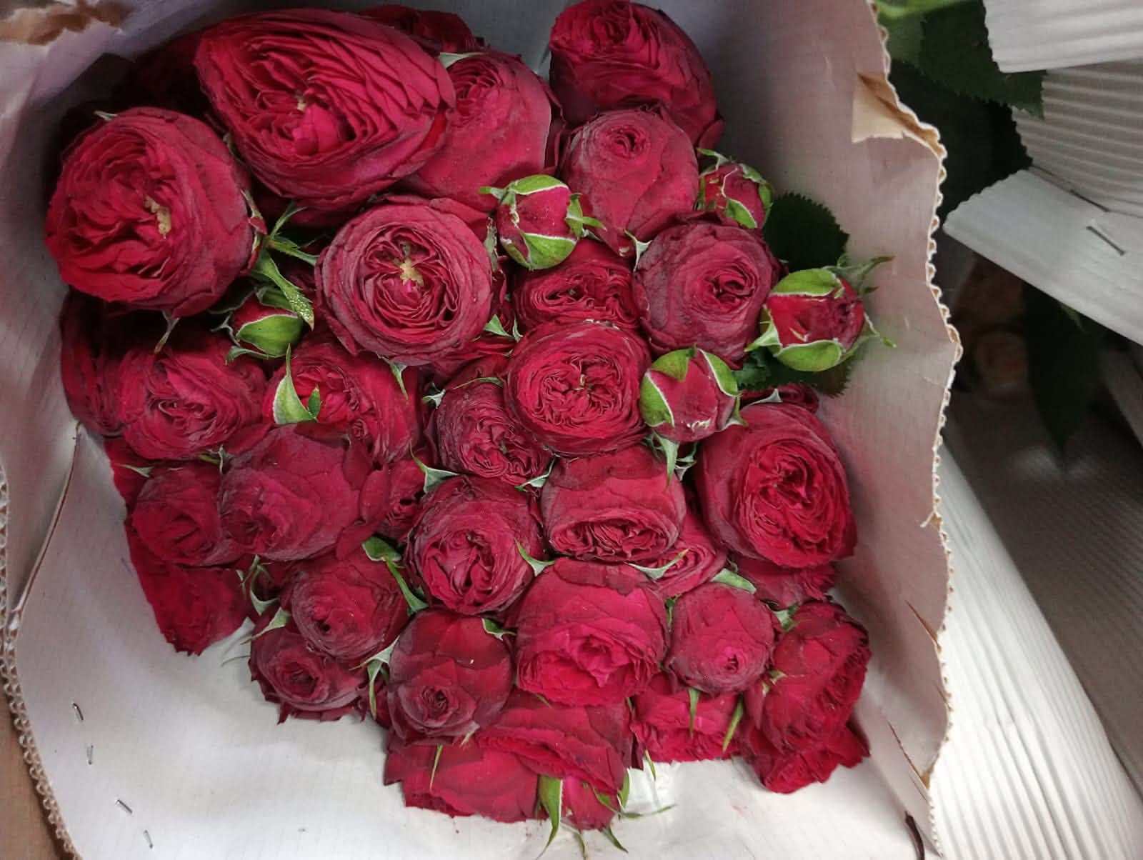 Armenian flowers entered UAE market: Gevorg Papoyan