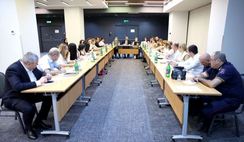 Քննարկվել է վիզաների ազատականացման գործողությունների ծրագրի կատարման ընթացքը․ կայացել է աշխատանքային խմբի հերթական նիստը