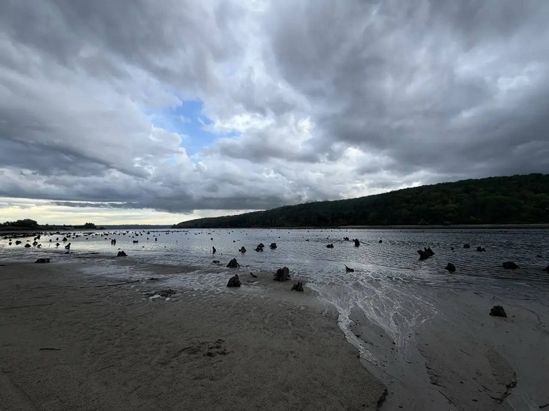 Белгородское водохранилище обмелело после авиаударов Украины