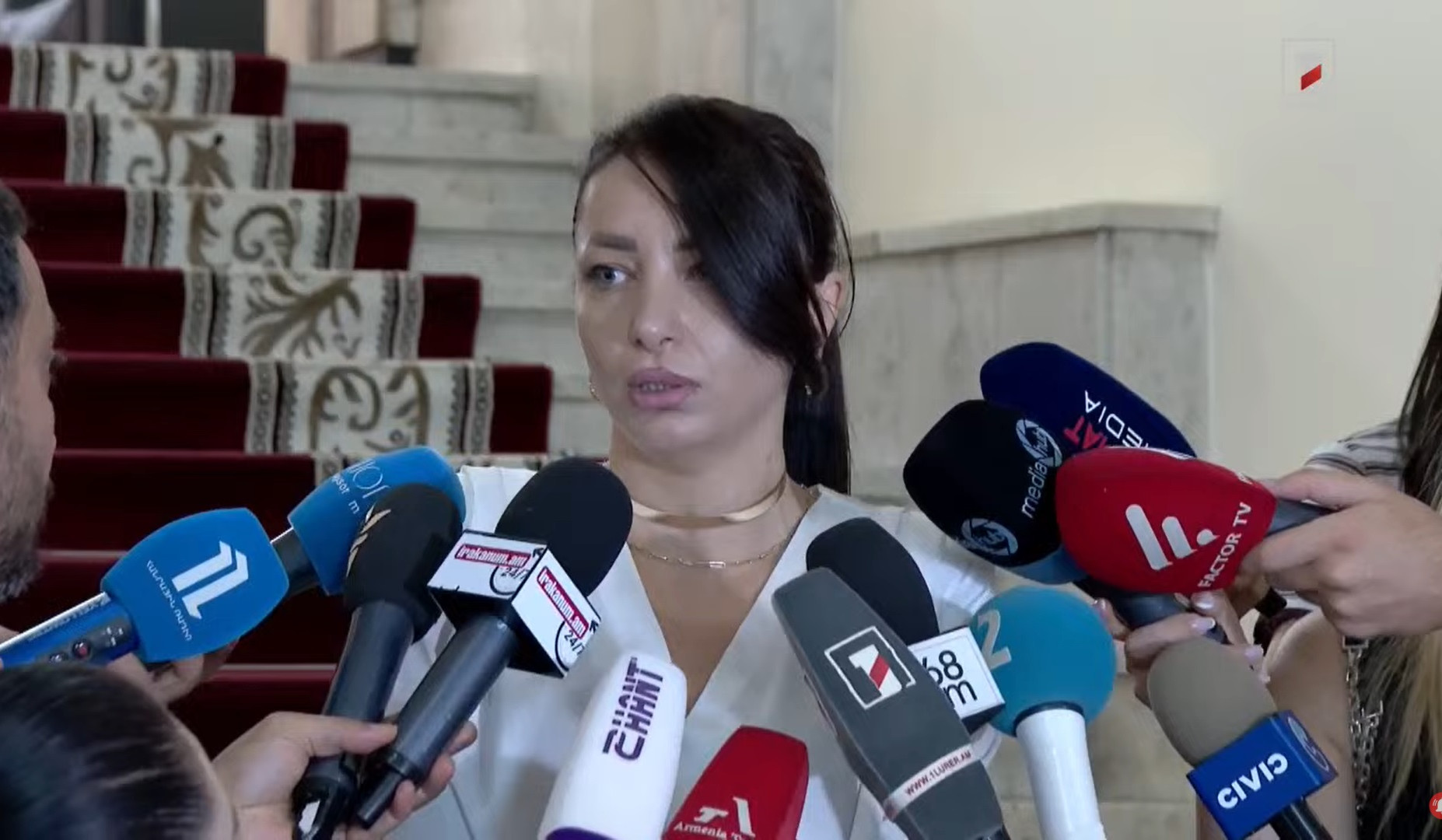 «Մուլտի Վելնես կենտրոնի» տարածքն ապօրինություններով էր վերցվել. Հասմիկ Հակոբյան