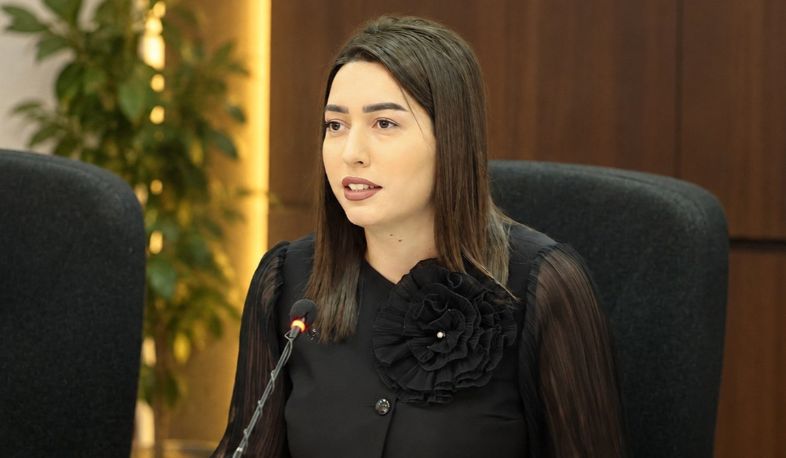 Քաղաքացիությունը չի կարող լինել «ներդրման դիմաց արագ ստացվող ծառայություն», այն պետք է հիմնված լինի պետության հետ իրական և կայուն կապի վրա. ՆԳ նախարար