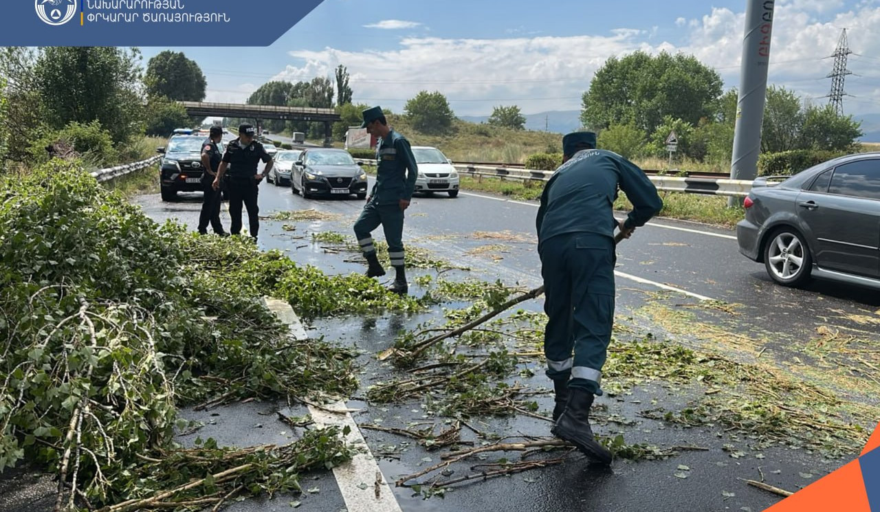 Երևան-Սևան ավտոճանապարհին ծառը կողաշրջվել է. փրկարարները հեռացրել են այն