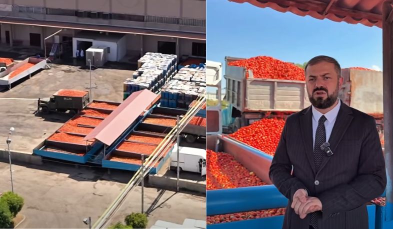 Մթերվել է շուրջ 4700 տոննա լոլիկ․ Գևորգ Պապոյան