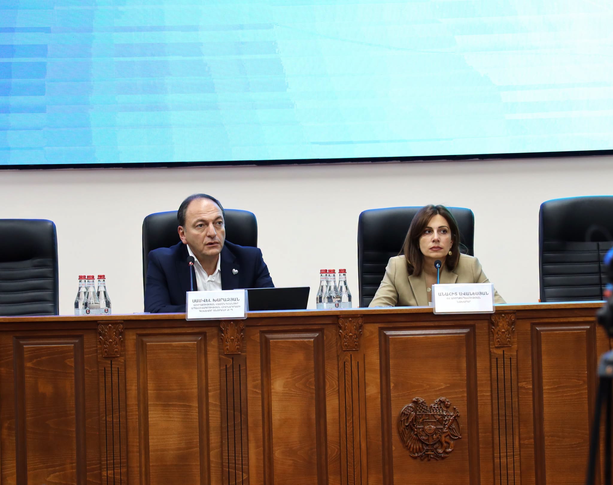 Անահիտ Ավանեսյանը գործատուների հետ քննարկել է 200000 դրամից պակաս աշխատավարձ ստացող աշխատողներին առողջության ապահովագրության համակարգ ընդգրկելու ընթացակարգը