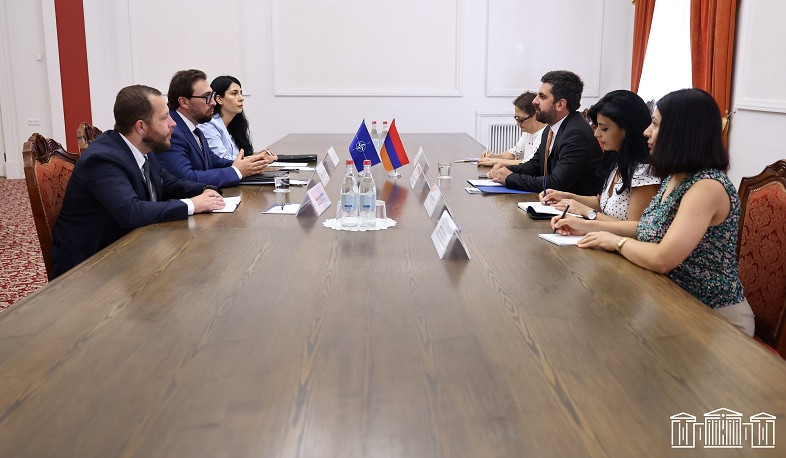 Սարգիս Խանդանյանը և Վրաստանում ՆԱՏՕ-ի կապի գրասենյակի ղեկավարը մտքեր են փոխանակել ՀՀ-ՆԱՏՕ գործընկերության օրակարգի վերաբերյալ