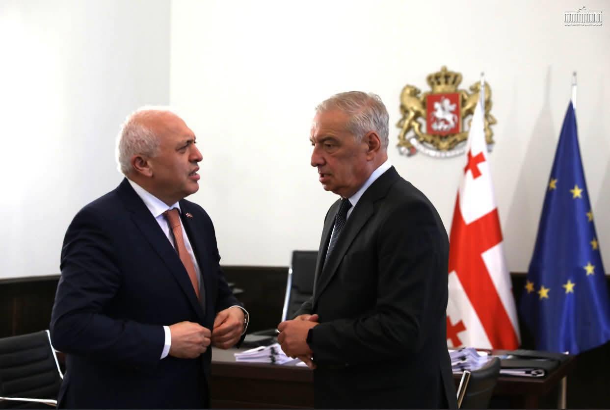 ՀՀ դեսպանն ու Վրաստանի խորհրդարանի փոխնախագահը քննարկել են միջխորհրդարանական կապերի զարգացումը