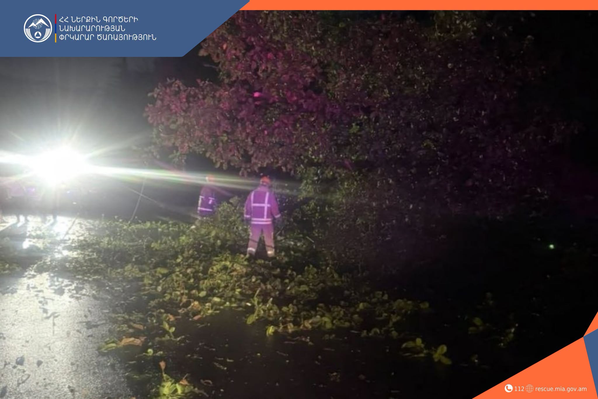 Իջևանում ծառն ընկել է ճանապարհի երթևեկելի հատվածում. փրկարարները հեռացրել են այն