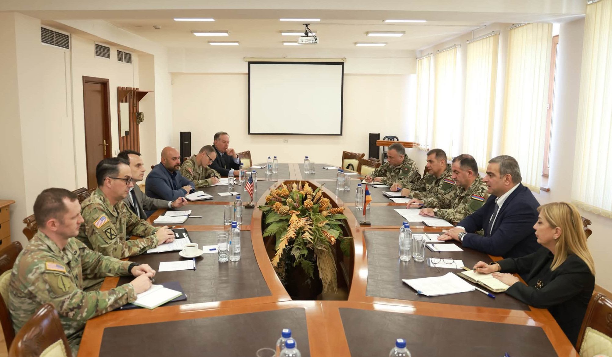 Քննարկվել են պաշտպանության ոլորտում ՀՀ-ԱՄՆ համագործակցությանը վերաբերող հարցեր