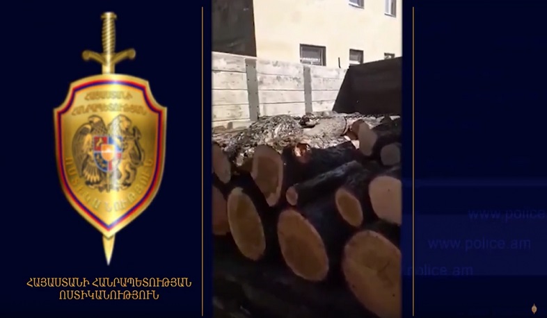 Նոյեմբերյանի ոստիկանները ապօրինի ծառահատումներ են բացահայտել