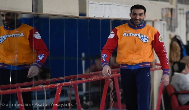 Armenian gymnasts in the final