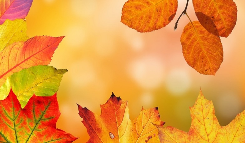 Температура воздуха постепенно повысится на 2-3 градуса