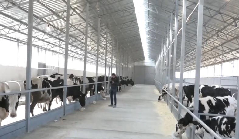 Լոռու Մարգահովիտ գյուղում ժամանակակից ֆերմա է բացվել