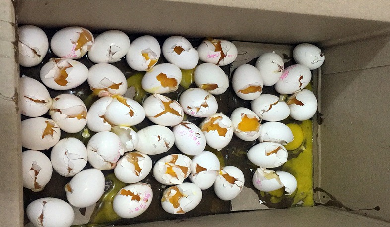 Մշտադիտարկումներ Շիրակի մարզի սննդի շուկայում