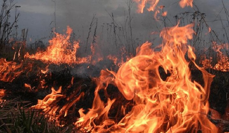 Բազումի հրդեհից այրվել է մոտ 80 հա խոտածածկ տարածք