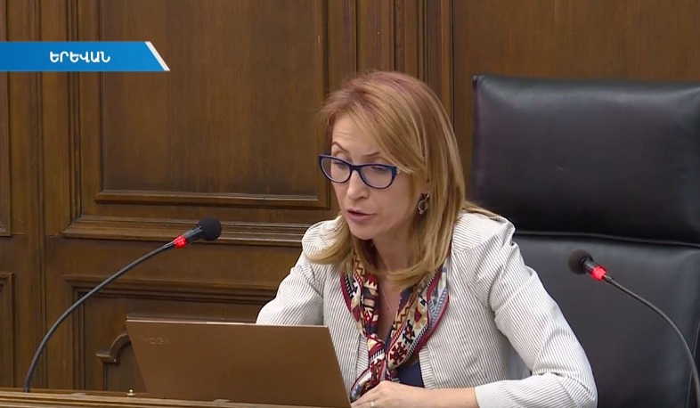 Բյուջեն ներկայացվել է բյուջետային համակարգի առնվազն երկու խախտումով. Մանե Թանդիլյան