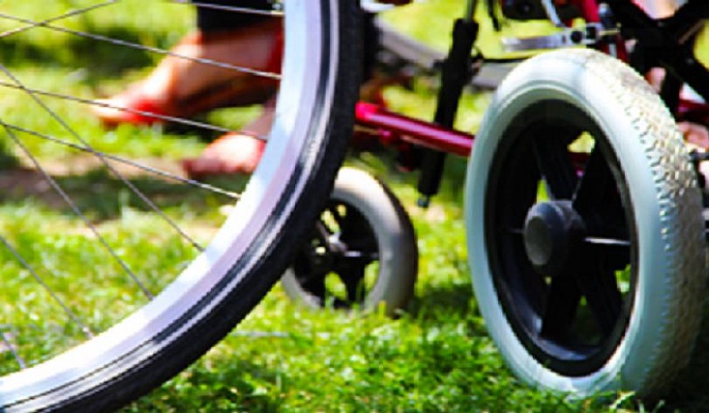 Հավելյալ 19 միլիոն դրամ՝ անվասայլակներ և լսողական սարքեր գնելու համար