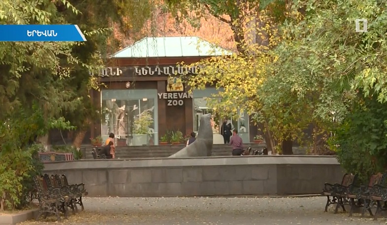 Կենդանաբանական այգու նախկին տնօրենը չի բացառում մարդկային գործոնը