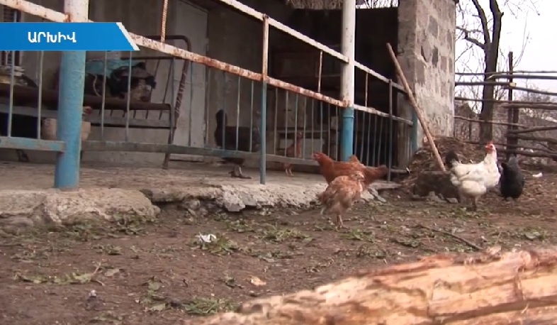 Աղքատությունը հաղթահարելու միակ ճանապարհը աշխատանքն է. Փաշինյան