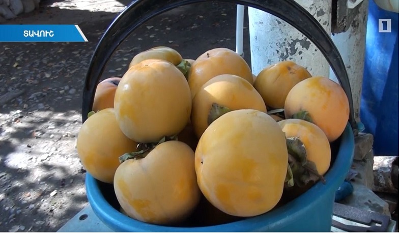 Չինարիի արքայանարինջը նոր շուկաներ է նվաճում