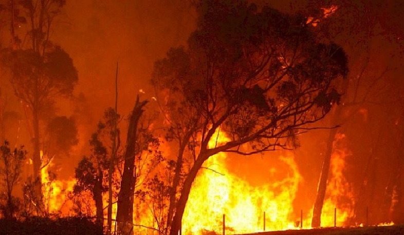 Մահաբեր հրդեհներ՝ Ավստրալիայում