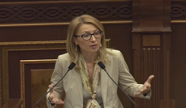 Կառավարության ծրագրի կարևոր դրույթներ չեն արտացոլվել բյուջեում. Մանե Թանդիլյան