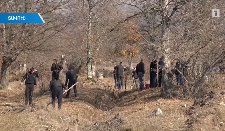 «Դիլիջան» ազգային պարկում մոտ 1000 ծառ է տնկվել