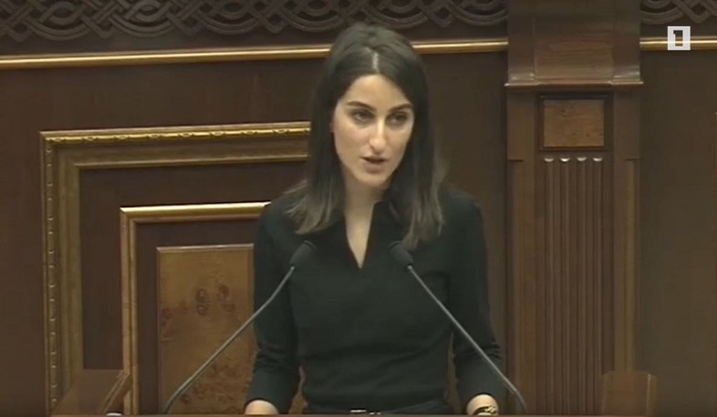 Կոռուպցիան չի կարող արմատախիլ արվել, քանի դեռ կան հաճույքով կաշառք տվողներ. Լ. Ալեքսանյան