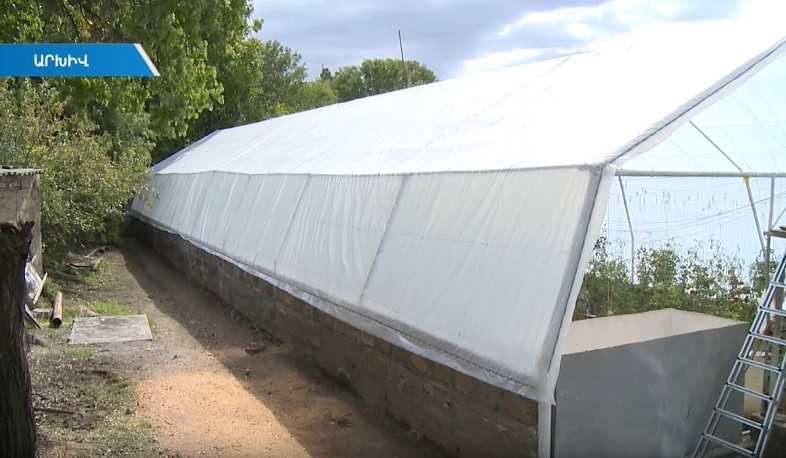 Պետությունը կաջակցի ջերմոց հիմնողներին