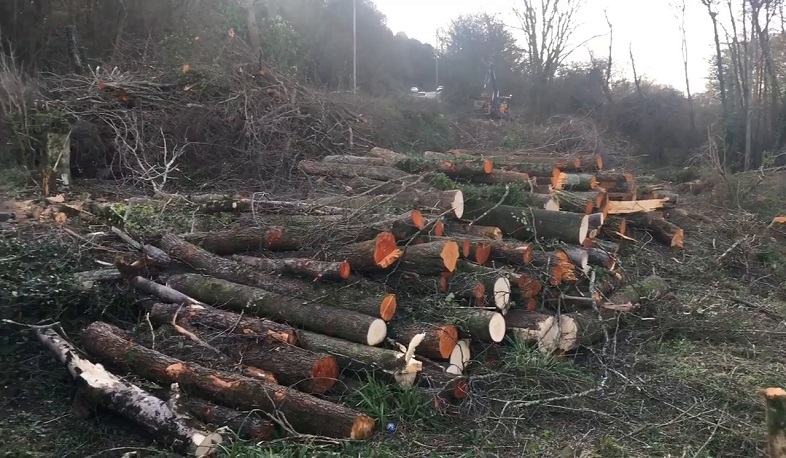 Շրջակա միջավայրին հասցված վնասի արդյունքում բյուջե է մուտքագրվել մոտ 1 մլն դրամ