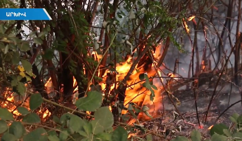 Աշնանային հրդեհների պատճառը մարդկային գործոնն է. ԱԻՆ