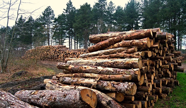 Շրջակա միջավայրին հասցվել է մոտ 7 մլն դրամի վնաս