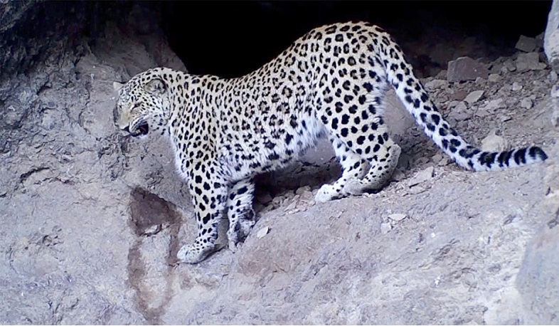 The Beauty of Khosrov