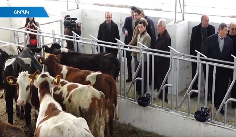 «Խելացի գոմեր» կառուցելու պետական ծրագրից սկսել են օգտվել Շիրակում