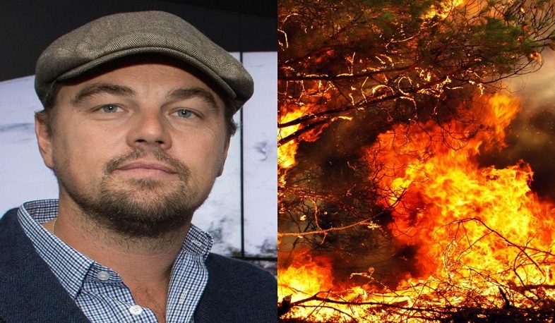 Լեոնարդո Դի Կապրիոյին մեղադրում են Ամազոնի անտառները հրդեհելու համար