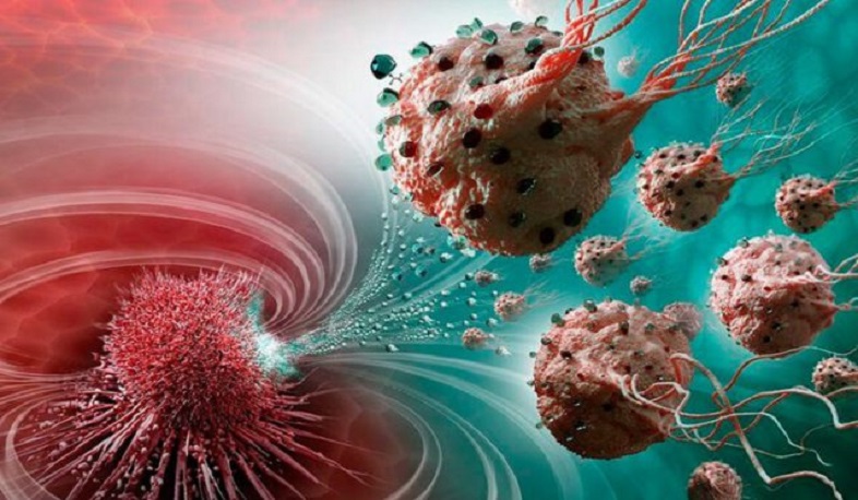 Քաղցկեղի բջիջների ոչնչացումն իրատեսական է դառնում