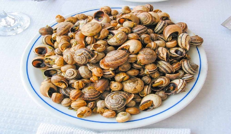 Հայկական խխունջները կարտահանվեն Եվրոպա