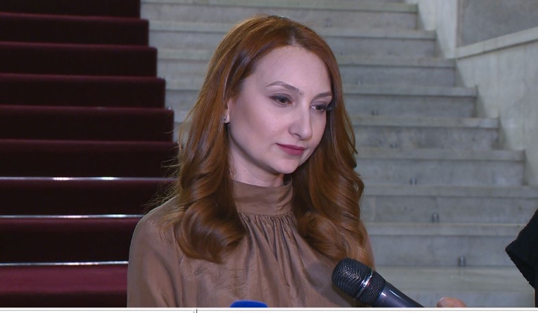 Արտահերթ խորհրդարանական ընտրությունների մասին խոսելը կեղծ օրակարգ է. Մակունց