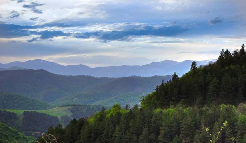 «Դիլիջան ազգային պարկի» տնօրենին մեղադրանք է առաջադրվել կենդանու նկատմամբ դաժան վերաբերմունքի համար