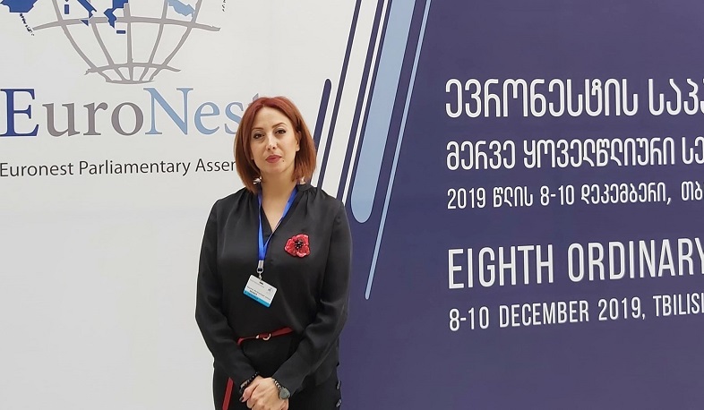 Եվրանեսթ ԽՎ-ում բարձրացվել է Ադրբեջանի սպառնալիքների ու հայատյացության հարցը