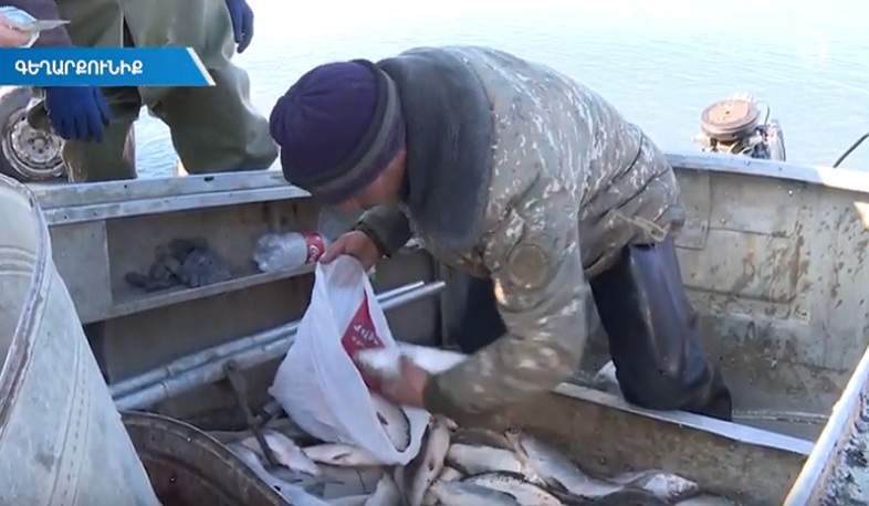 Սևանում ձկնորսությունը կկանոնակարգվի և կօրինականացվի