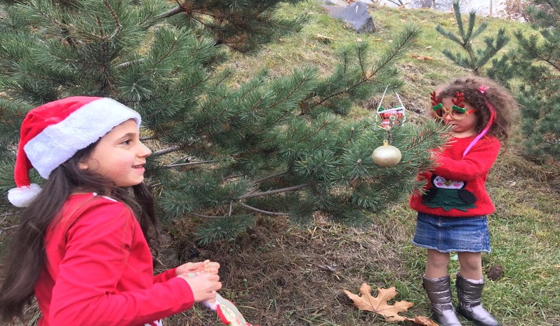 Երևանի կենդանաբանական այգին պատրաստվում է Ամանորի միջոցառումներին