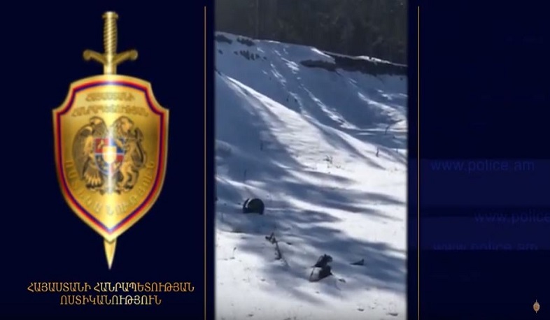 Բացահայտվել են «Սևան ազգային պարկի» Վարդենիսի մասնաճյուղի տնօրենի ապօրինությունները