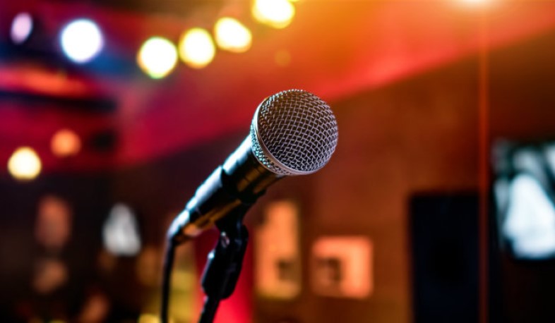 Եկամուտները հայտարարագրող շոու-բիզնեսի ներկայացուցիչների թիվն ավելացել է