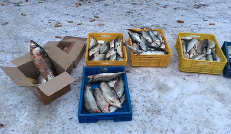 Բնապահպանության և ընդերքի տեսչական մարմնի ստուգումների արդյունքները