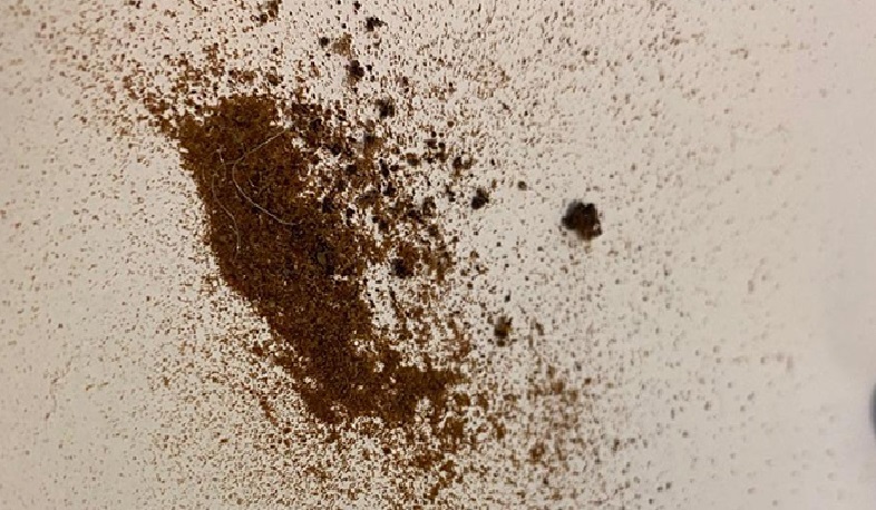 ՊԵԿ-ը հայտնաբերել է մաքսային հսկողությունից թաքցված «ափիոն» տեսակի թմրամիջոց